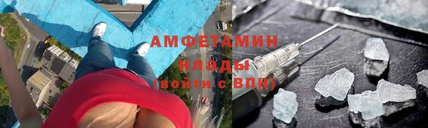 трава Аркадак