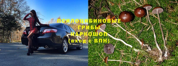 ешки Арсеньев