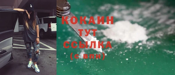 ешки Арсеньев