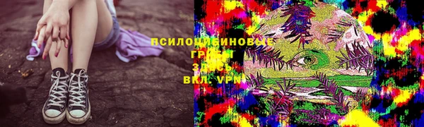 круглые Артём