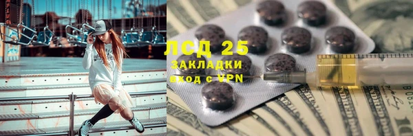 индика Балабаново