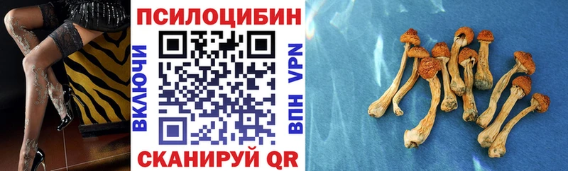 цены   Валдай  Галлюциногенные грибы мицелий 